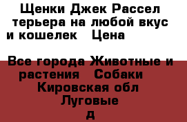 Щенки Джек Рассел терьера на любой вкус и кошелек › Цена ­ 13 000 - Все города Животные и растения » Собаки   . Кировская обл.,Луговые д.